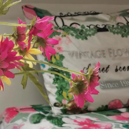 Bed & Breakfast De Watering